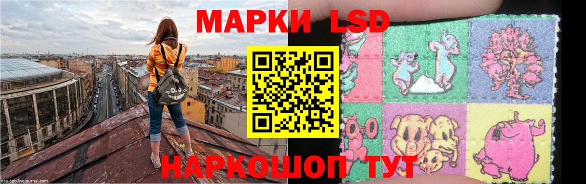 Тулун    зеркало  Вход с VPN  ЛСД экстази кислота  Лсд 25 экстази ecstasy 