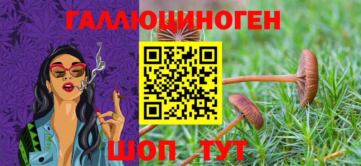 Галлюциногенные грибы мицелий Тулун