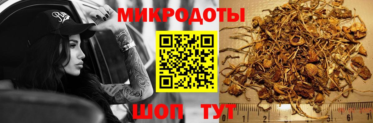 Псилоцибиновые грибы Cubensis  Галлюциногенные грибы прущие грибы  Вход с VPN  Тулун 